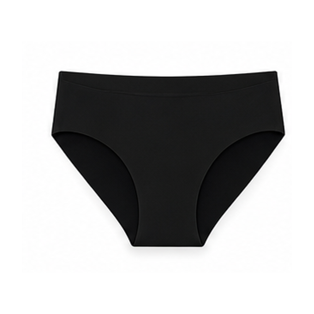 Women's Ice Silk Briefs